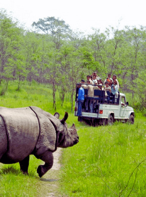 Chitwan
